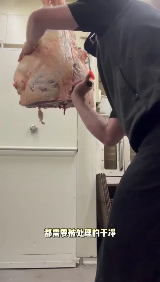 482签证转186签证流程及注意事项详解