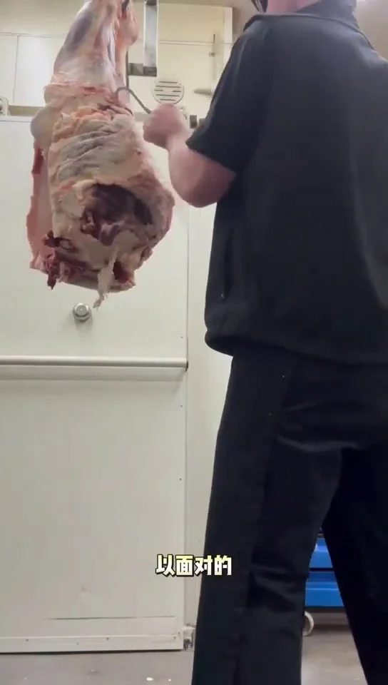 482签证需要职业评估吗？